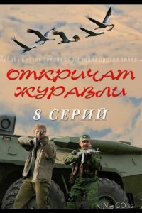 Откричат журавли 1 7-8