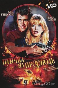 Птичка на проводе 