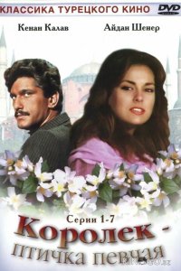 Королёк — птичка певчая 1 11