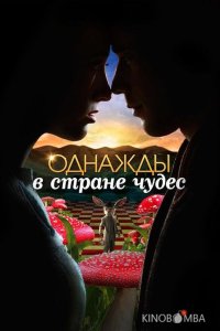 Однажды в стране чудес 1 13