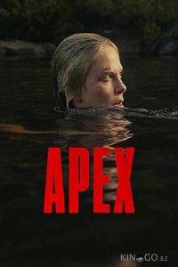 Вершина 