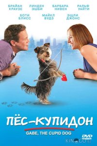Пес-купидон 