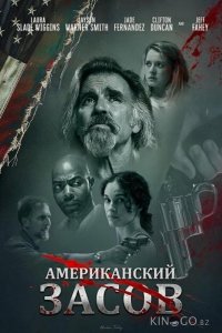 Американский засов 