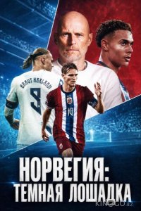 Норвегия: Темная лошадка 1 2
