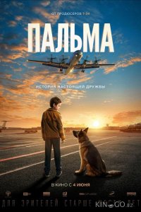 Пальма 