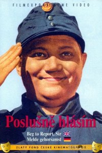 Швейк на фронте 