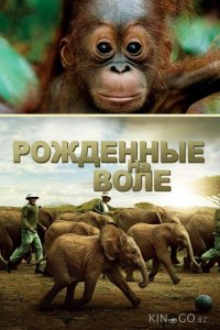Рожденные на воле 
