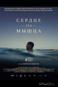 Сердце — это мышца 