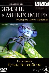 BBC: Жизнь в микромире 1 5