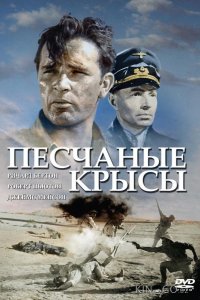 Песчаные крысы 