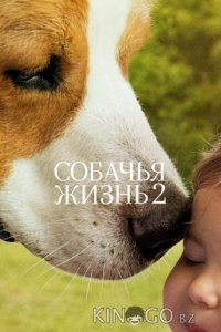 Собачья жизнь 2 