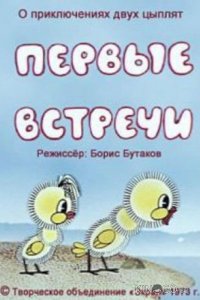 Первые встречи 