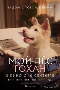 Мой пёс Гохан 
