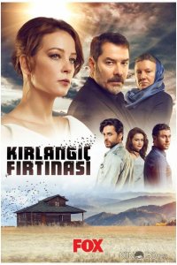 Шторм ласточки 1 7