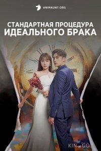 Стандартная процедура идеального брака 1 12