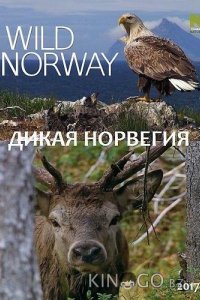 Дикая Норвегия 