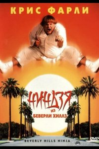 Ниндзя из Беверли Хиллз 