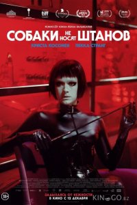 Собаки не носят штанов 