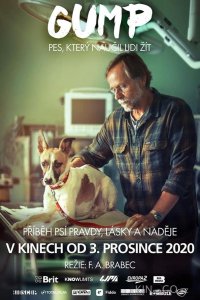 Гамп — пёс, который научил людей жить 