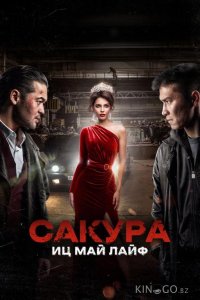 Сакура. Иц май лайф 