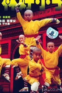 Xiao lin lao zu 