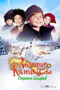 Зимние каникулы: Страна эльфов 