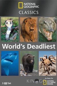 National Geographic: Самые опасные животные 1 31