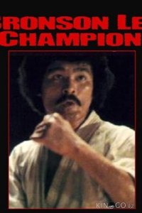 Za karate 3: Denkô sekka 