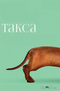Такса 