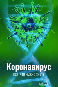 Коронавирус. Всё, что нужно знать 1 3