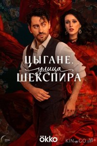 Цыгане. Улица Шекспира 1 8