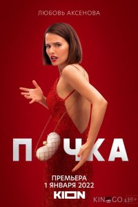 Почка 3 8