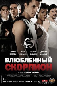 Влюбленный скорпион 