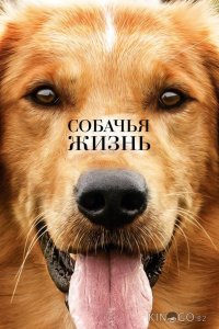 Собачья жизнь 