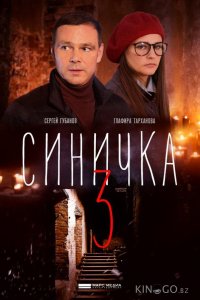 Синичка 3 1 4