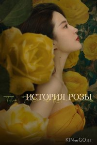 История розы 1 38