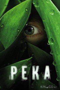 Река 1 8