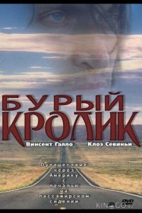 Бурый кролик 