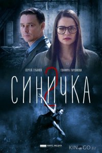 Синичка 2 1 4