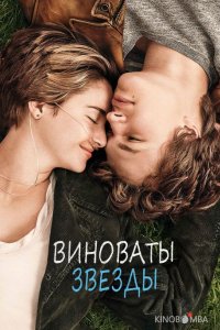 Виноваты звезды 
