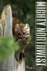 Прекрасная Америка: Величественный Северо-Запад. Под вулканом 