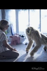 Обычные сбои 