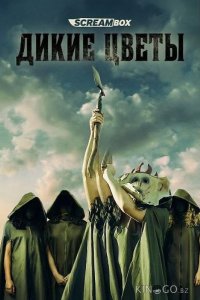 Дикие цветы 