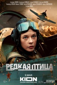 Редкая птица 1 4