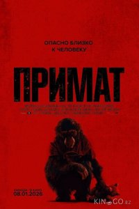 Примат 