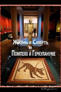 Жизнь и смерть в Помпеях и Геркулануме 