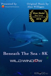 Wild Window: Beneath the Sea 