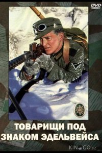 Товарищи под знаком Эдельвейса 