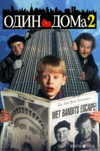 Один дома 2: Затерянный в Нью-Йорке 