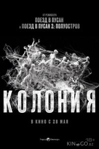 Колония 